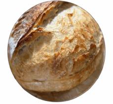 Organic Sourdough Bread ( Regular)